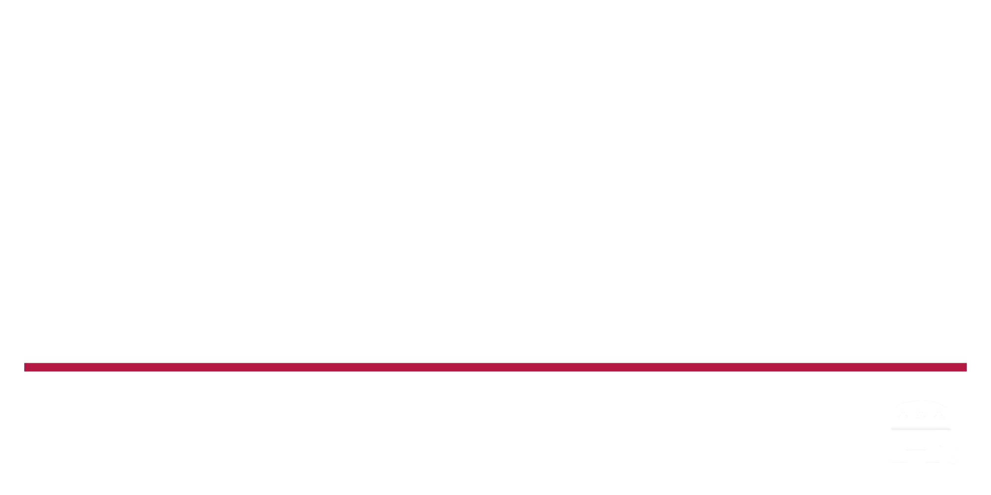Lynn Afendoulis for State Representative